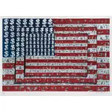 Emiliano Gironella Parra, Homenaje a Jasper Johns