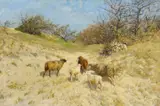 Fritz Grebe, Schafe im Frühling in den Dünen bei Ahrenshoop, Öl auf Leinwand
