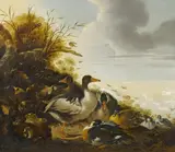 Gysbert Gillisz. de Hondecoeter, Enten am Seeufer, Öl auf Leinwand