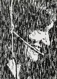Rosemarie Trockel, Antigone