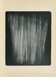 Ohne Titel by Hans Hartung, 1971, Lithografie auf BFK RIVES (Wasserzeichen), sold Mar 2019