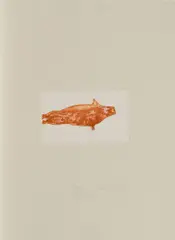 Joseph Beuys, Meerengel Robbe 2, 1982, Radierung und Aquatinta auf Papier, auf grauem Bütten aufgewalzt