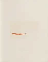 Meerengel die Seegurke by Joseph Beuys, 1982, Radierung und Aquatinta auf Bütten, sold Apr 2019