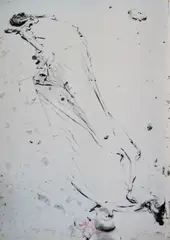 Solidarnosc incarnat by Joseph Beuys, 1981, Andruckbogen. Farboffset auf Papier, sold Jun 2019