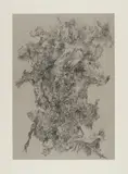 Bernard Schultze, "Königs-Migof", 1986, Bleistift auf Papier