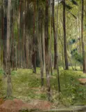 Theodor Hagen, Waldlandschaft, Öl auf Leinwand