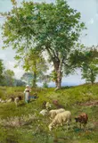 Pietro Barucci, Auf der Schafweide, Öl auf Leinwand