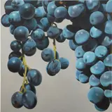 Karin Kneffel, Untitled, 1998, oil on canvas