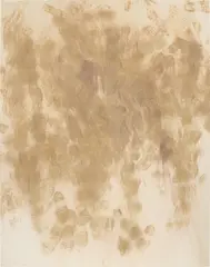 Dan Colen, The Dead Don't Die, 2011, dirt on canvas