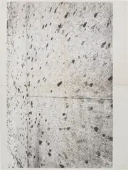 Untitled by Adam McEwen, 2013, inkjet print on cellulose sponge on aluminium, sold Oct 2020