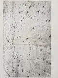 Adam McEwen, Untitled, 2013, inkjet print on cellulose sponge on aluminium