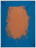 Look Deeper (No Summer) by Pamela Rosenkranz, 2016, acrylic on Spandex, sold Dec 2020