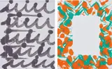 Nikolas Gambaroff, Untitled, 2010, acrylic on linen, in 2 parts