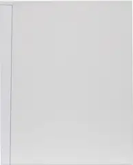 Marieta Chirulescu, O.T., 2011, inkjet print and gesso on canvas