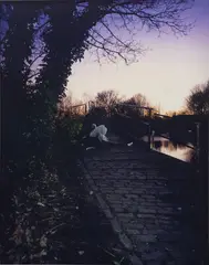 Tom Hunter, Up Before the Beak, Angry Swan Guards Bridge after Crash, 2003, Lambda print, mounted on aluminium