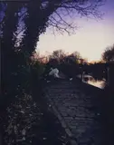 Tom Hunter, Up Before the Beak, Angry Swan Guards Bridge after Crash, 2003, Lambda print, mounted on aluminium