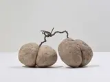 Seung-taek Lee, Tied Stone, 1984, stone and wire