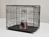 Pavel Pepperstein and Dmitry Volkov, This is not a book, 2019, mixed media on book and metal cage, in 2 parts