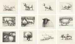 Henry Moore, Sheep, 1972-74, The complete set of 12 etchings, on handmade Rives paper with watermark designed by the artist, with full margins, with title page, colophon, text, accompanying linen-covered portfolio and printed vellum wrappers