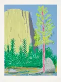 David Hockney, Untitled No. 22, from The Yosemite Suite, 2010, iPad drawing in colours, printed on wove paper, with full margins