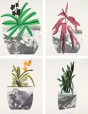 Untitled by Jonas Wood, 2014, The complete set of four lithographs with screenprint in colours, on Coventry Rag paper, with full margins, sold Jan 2020