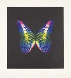The Souls on Jacob's Ladder Take Their Flight (Unique) by Damien Hirst, 2007-2016, Unique etching in colours, on Velin Arches paper, with full margins, sold Jan 2020