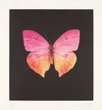 The Souls on Jacob's Ladder Take Their Flight (Unique) by Damien Hirst, 2007-2016, Unique etching in colours, on Velin Arches paper, with full margins, sold Jan 2020
