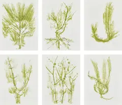 Giuseppe Penone, Trentatré Erbe (Thirty-three Herbs), 1989, The complete set of 33 lithographs in colours, on light wove paper, the full sheets, with colophon, title page and original green fabric-covered portfolio boards with printed artist's name and title