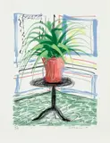 A Bigger Book, Art Edition C by David Hockney, 2010/2016, iPad drawing in colours, printed on archival paper, with full margins, with the illustrated 680-page chronology book, nu, sold Jan 2020