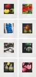Fruit, Flowers and a Fish by Donald Sultan, 1989-1991, The complete set of 8 screenprints in colours, on Arches 88 paper, with full margins, sold Jan 2020