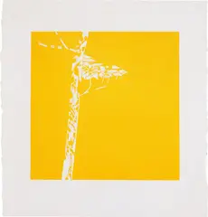 Tree by Alex Katz, 1990, Woodcut in yellow, on Iyo Glazed paper, with full margins, sold Jan 2020