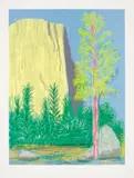 Untitled No. 22, from The Yosemite Suite by David Hockney, 2010, iPad drawing in colours, printed on wove paper, with full margins, sold Sep 2020
