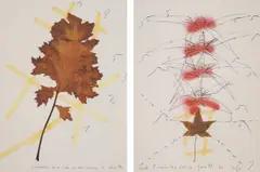 Mario Merz, Da un erborio raccolto nel 1979 in Woga-Woga, Australia (From a herb collected in 1979 in Woga-Woga, Australia), 1979-1989, The complete set of 14 lithographs in colours, on textured wove paper, with full margins, with colophon and original red/brown fabric-covered portfolio boards with printed artist's name and title