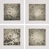Georg Herold, Caviar: plates II-V