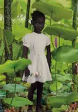 Ruud van Empel, World #1