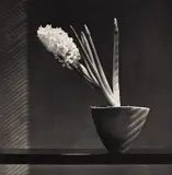 Hyacinth by Robert Mapplethorpe, 1987, Photogravure, sold Sep 2020