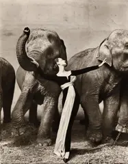 Richard Avedon, Dovima with elephants, Evening dress by Dior, Cirque d’Hiver, Paris, August, 1955, Gelatin silver print, printed 1979