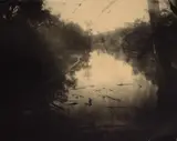 Untitled #13 from Deep South by Sally Mann, 1998, Gelatin silver print, toned with tea, mounted, sold Sep 2020