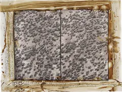 Peter Beard, 756 elephants / Tsavo at the Mkomazi Border 1976 for The End of the Game / Last word from Paradise / …Destroyed social units in misery-likes company formation; Suffering over population, stress, heart disease, constipation + MISMANAGEMENT / (35,000-40,000 would die in this wasteland), 1976, Toned gelatin silver print with ink, blood and affixed snake skin, executed later