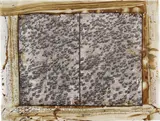 Peter Beard, 756 elephants / Tsavo at the Mkomazi Border 1976 for The End of the Game / Last word from Paradise / …Destroyed social units in misery-likes company formation; Suffering over population, stress, heart disease, constipation + MISMANAGEMENT / (35,000-40,000 would die in this wasteland), 1976, Toned gelatin silver print with ink, blood and affixed snake skin, executed later
