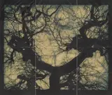 Doug Starn and Mike Starn, Structure of Thought #5, 2001, MIS and Lysonic inkjet prints on Thai mulberry, gampi and tissue papers with wax, encaustic and varnish