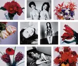 Nobuyoshi Araki, Selected images from Kinkabu and Sensual Flowers