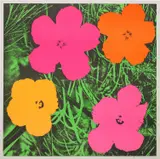 Andy Warhol, Flowers, 1964, Farboffsetlithografie auf Papier