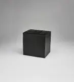 Rachel Whiteread, Black Box