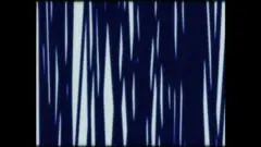 Haluk Akakçe, Blue and Black on White, 2003, single channel video on DVD