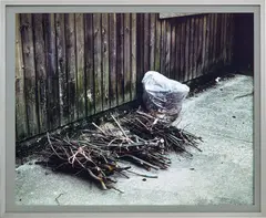 Jeff Wall, Cuttings, 2001, transparency in lightbox