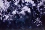 Anri Sala, Untitled, 2005, colour photograph on aluminium