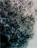 Piotr Uklański, Untitled (Bubbles), 1997, c-print, flush-mounted on aluminium and face-mounted to Plexiglas