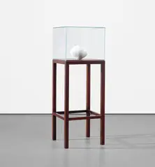 Shilpa Gupta, 01:14.9, 2011-12, hand-wound thread and brass plaque under a glass vitrine on wooden stand