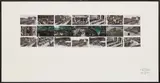 Gilbert&George, Coronation